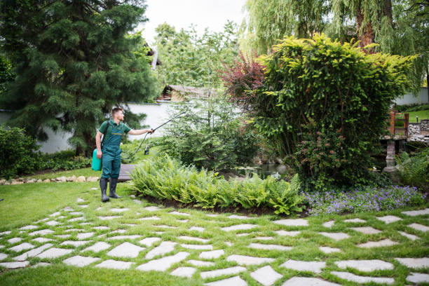 Bird Control in Lincolnwood, IL