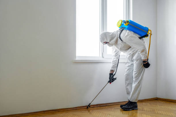 Pest Control for Restaurants in Lincolnwood, IL